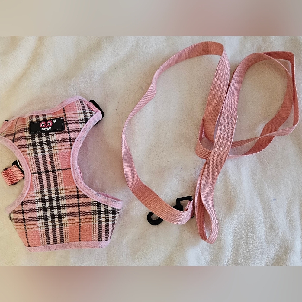 Dog Harness And Leash For Small Dogs. Brand New Without Tag. Never Used.